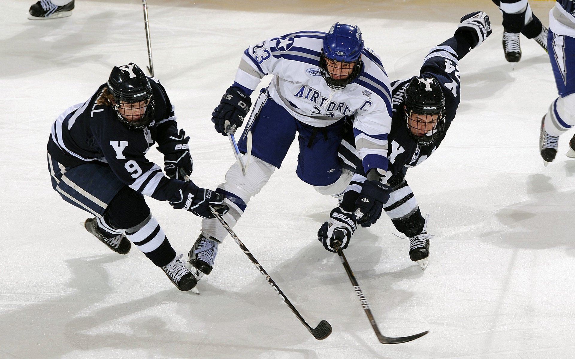 开云·Kaiyun网页版-“定向越野：东部新区赛场考验运动员全方位能力”
